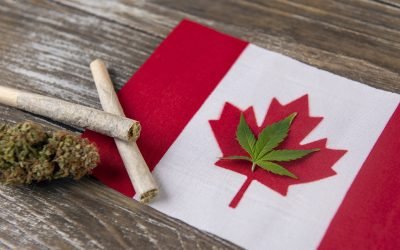 Le cannabis et l’impôt
